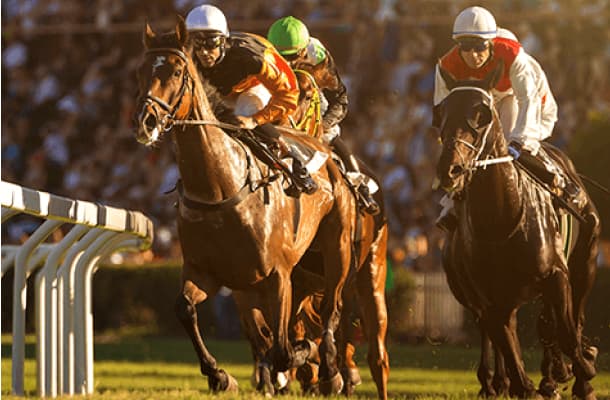 The Best Time to Visit The Mahalaxmi Racecourse