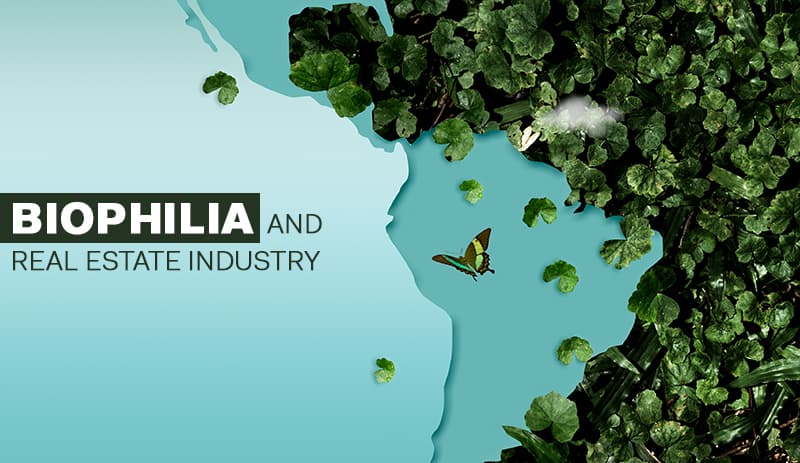 Biophilia and real estate industry