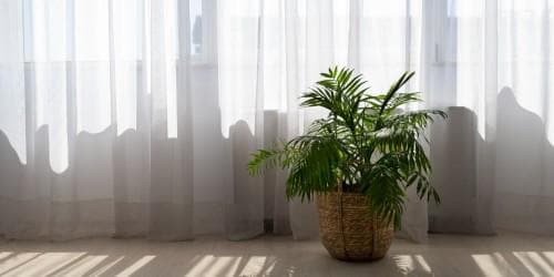 Natural Light and Fresh Air- remove negative energy from home