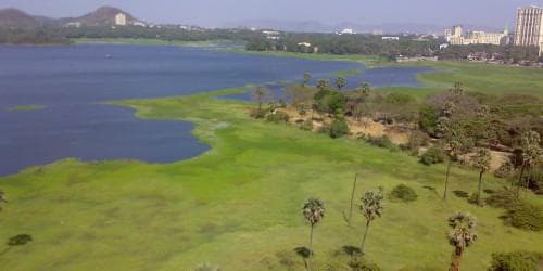 Sanjay Gandhi National Park